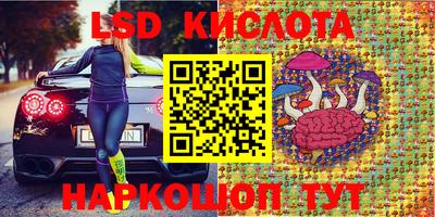 индика Славгород