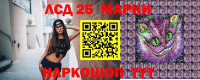 индика Славгород