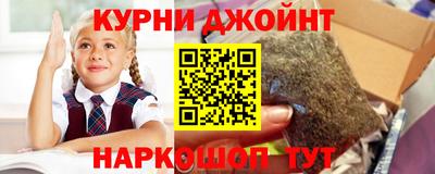 индика Славгород