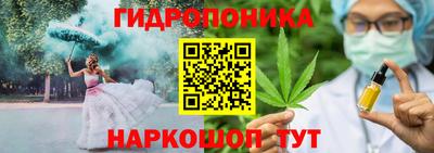 индика Славгород