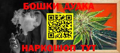 индика Славгород