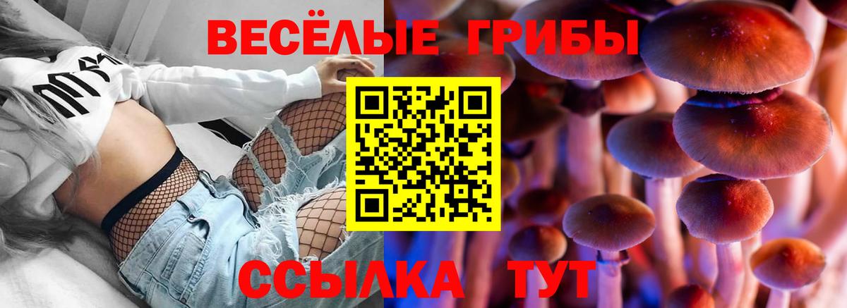 Псилоцибиновые грибы ЛСД Подольск